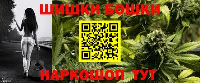 мдпв Славгород