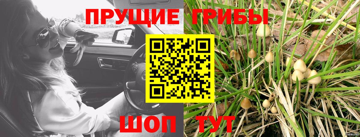 Псилоцибиновые грибы прущие грибы Большой Камень
